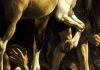 J.S. Bach, Cantata 136, at Trinity VIII