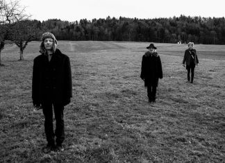 The Young Gods – Figure sans nom